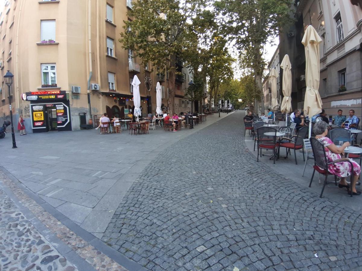 Rooster Apartments Beograd Ngoại thất bức ảnh